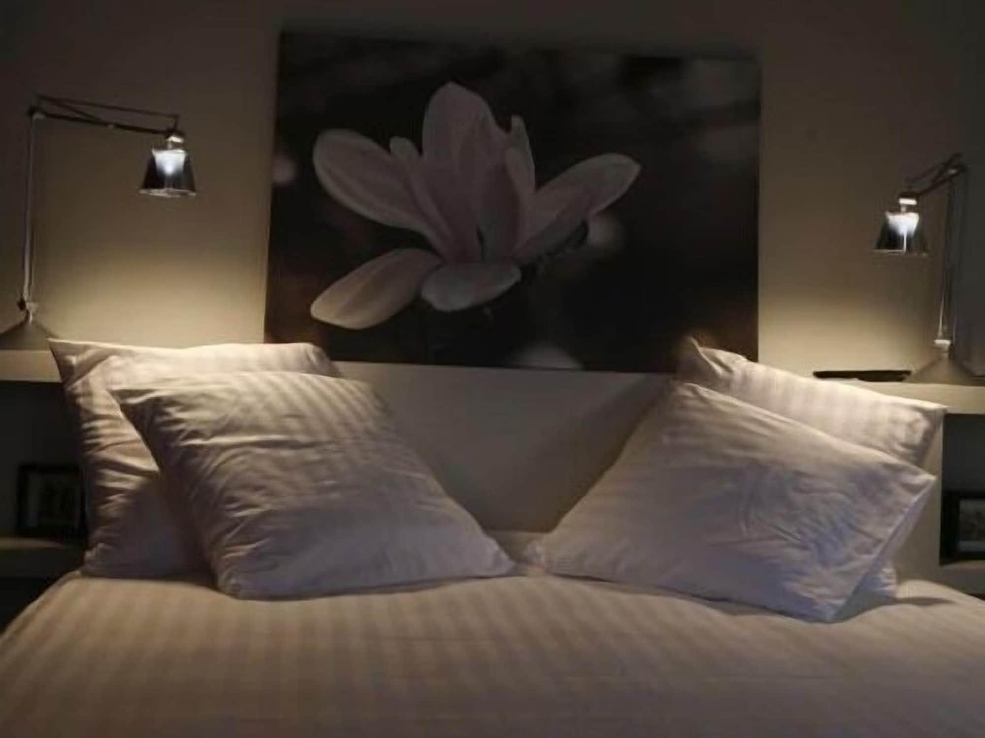 Les 4 Etoiles Bed & Breakfast Montpellier Exterior foto