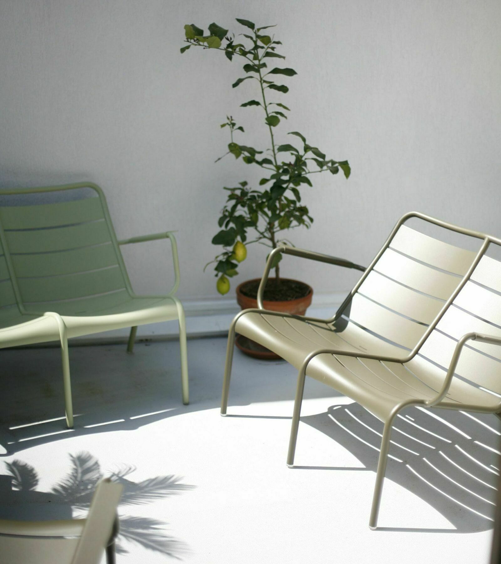 Les 4 Etoiles Bed & Breakfast Montpellier Exterior foto